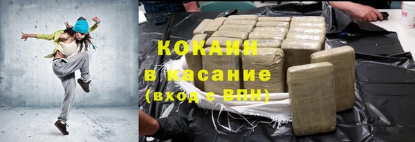 индика Аркадак