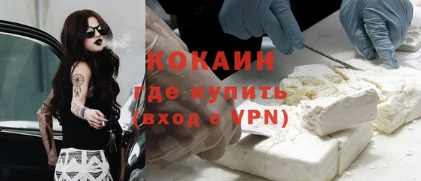 индика Аркадак