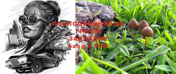 a pvp Арсеньев