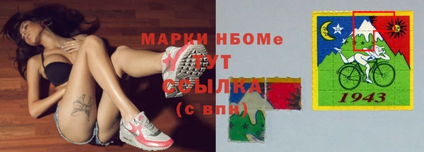 индика Аркадак
