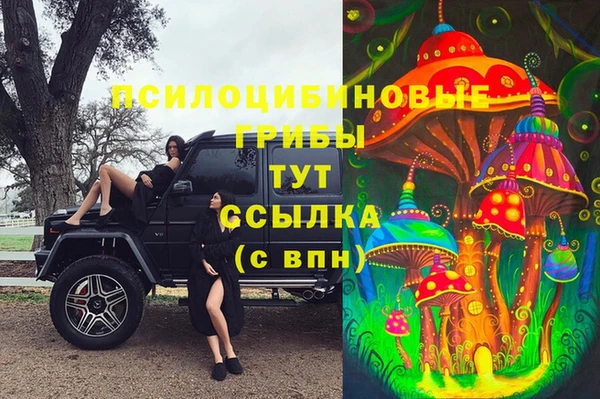 сатива Армянск