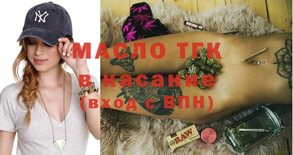 индика Аркадак
