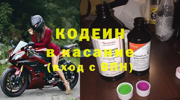 индика Аркадак