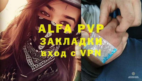 сатива Армянск