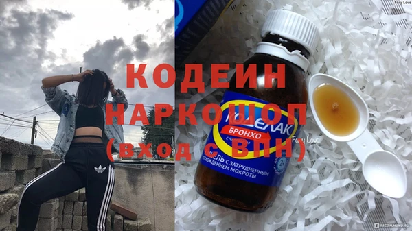 индика Аркадак
