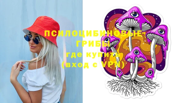 индика Аркадак