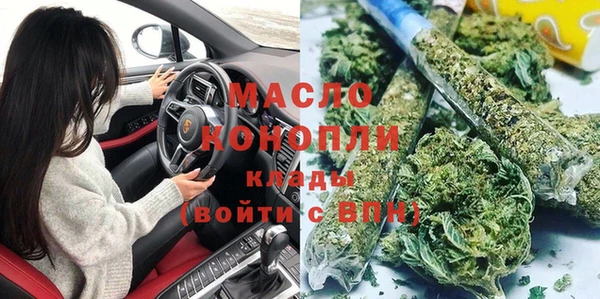 индика Аркадак
