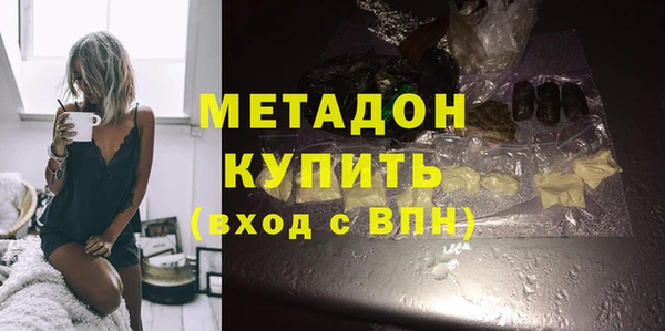 индика Аркадак