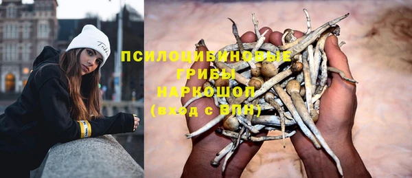 a pvp Арсеньев